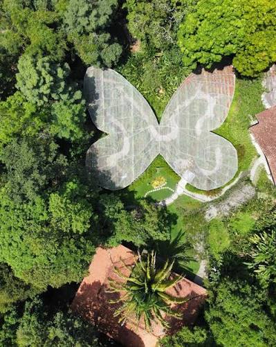Jardín Botánico del Quindío / Mariposario
